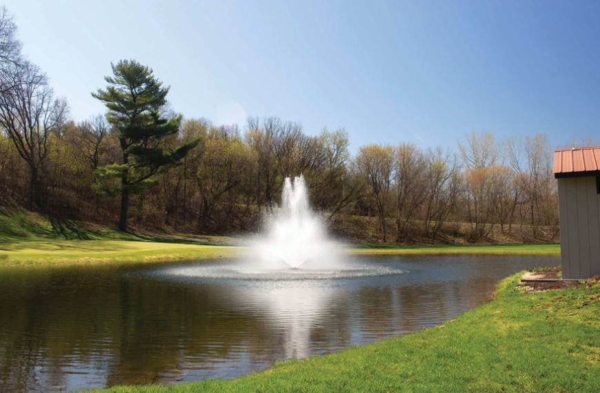 When a Floating Fountain Becomes a Must-Have Instead of Just a Decorative Add-On