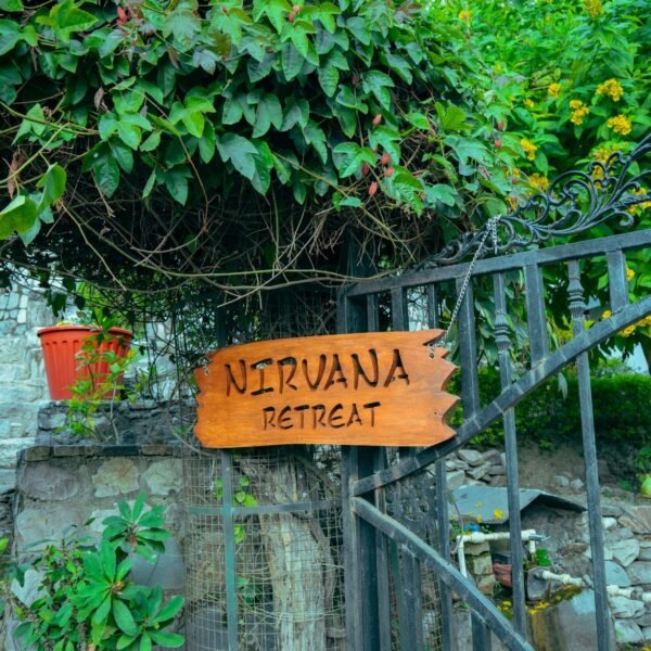 What Yoga Retreats in Rishikesh Teach Without a Single Class