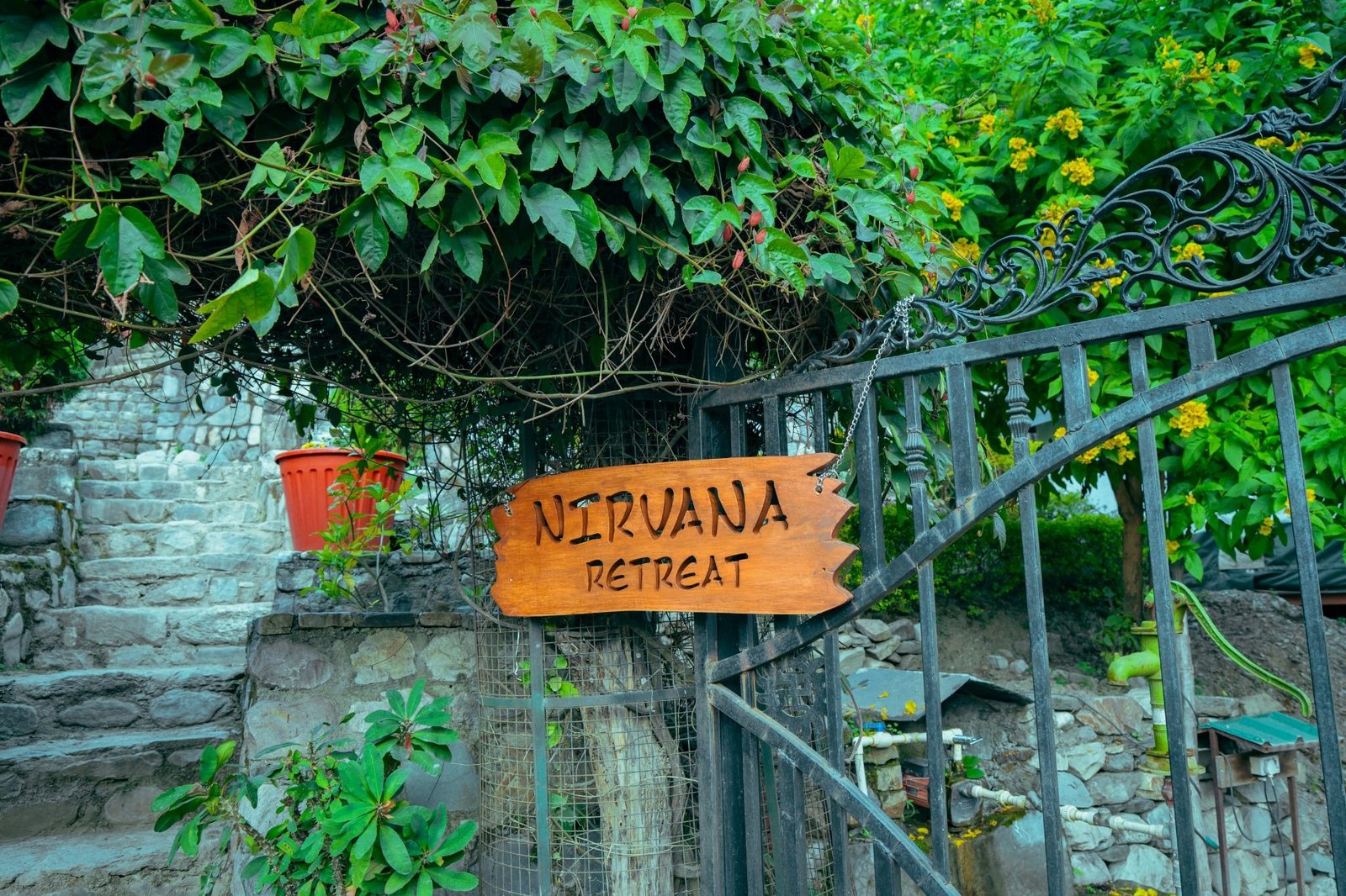 What Yoga Retreats in Rishikesh Teach Without a Single Class